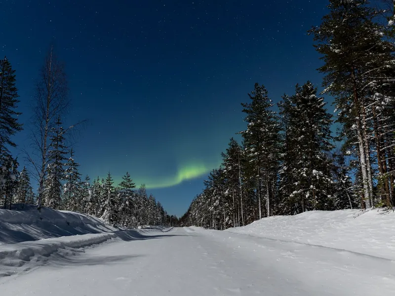 Noorderlicht boven een besneeuwd bos bij Rovaniemi